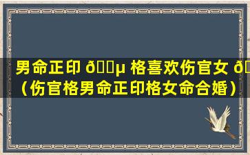 男命正印 🌵 格喜欢伤官女 🌸 （伤官格男命正印格女命合婚）